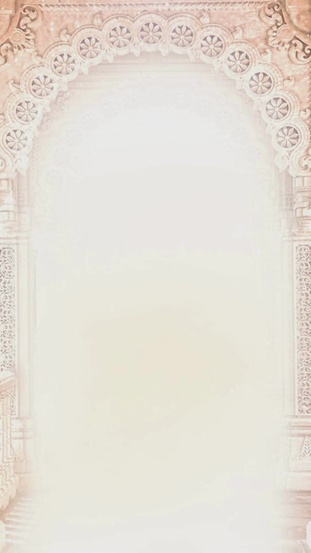 WeWillCreateProfessionalVoice-OverReelsforParty-PlotBusiness